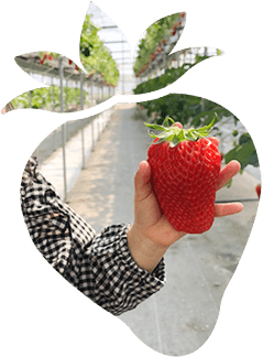 とにかく大きい！