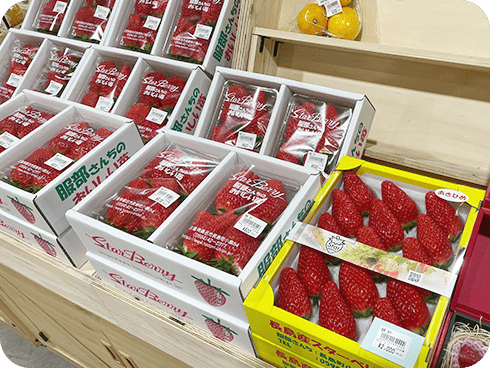 なばなの里 花市場直売コーナー