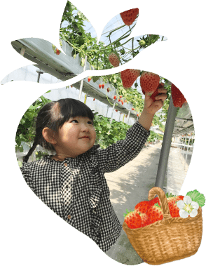 いちご狩り