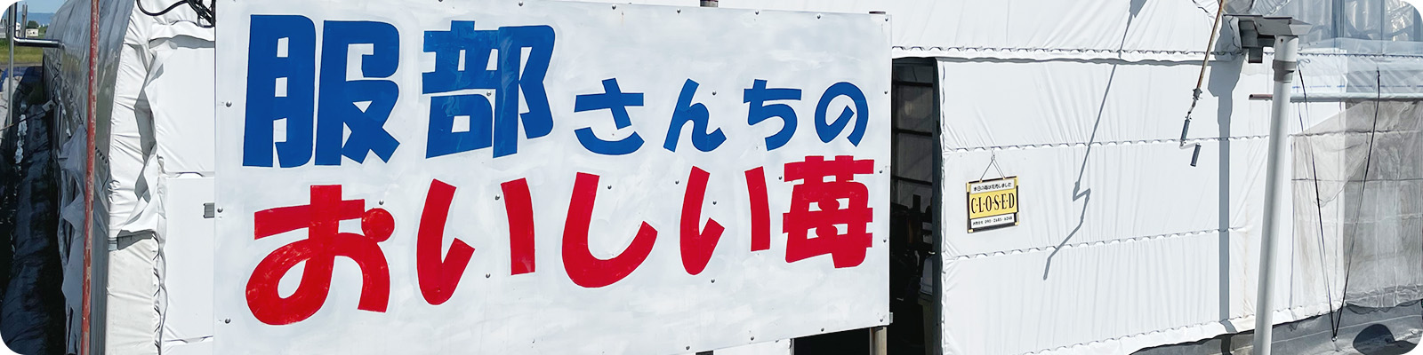 当農園について