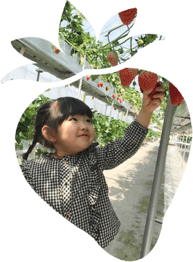 いちご狩り